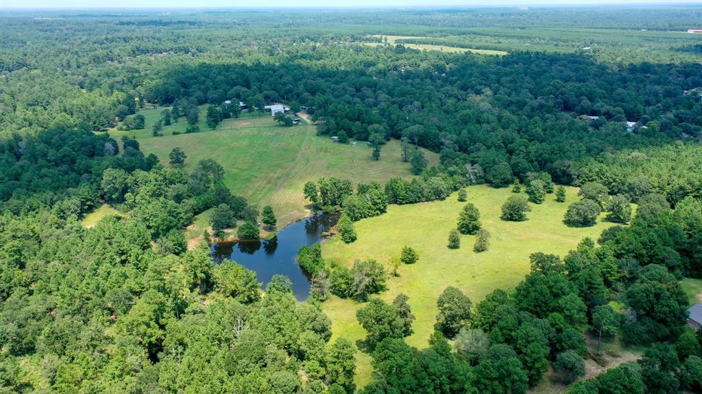 21.003 Acres Rockin L Lane, Navasota, Texas image 5