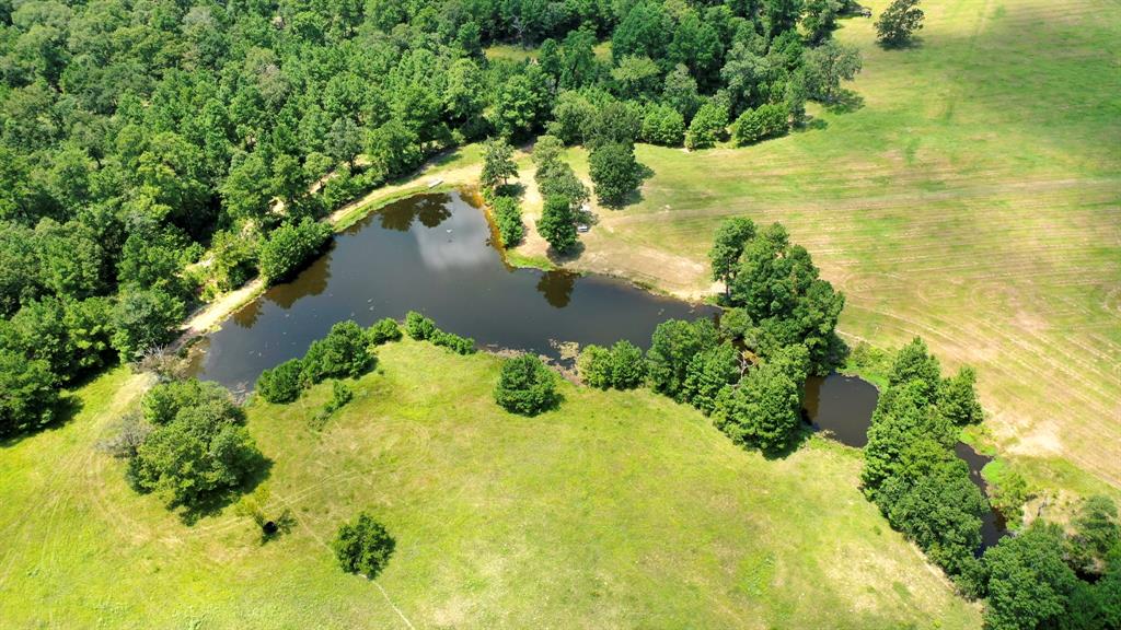 21.003 Acres Rockin L Lane, Navasota, Texas image 2