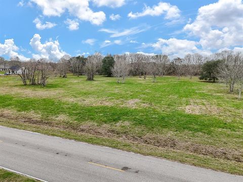 Photo of 16618 Sun Valley Lane, Rosharon, TX 77583 (MLS # 58116566)