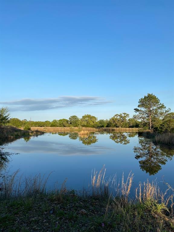 1517 Smith Rau Road, Columbus, Texas image 1