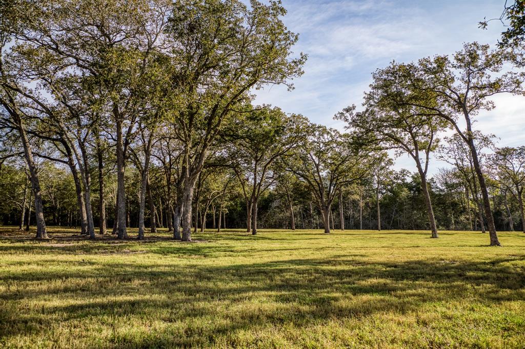 7690 Wolff Road, Burton, Texas image 31