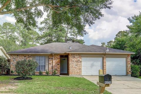 4906 Adonis Drive Spring TX 77373