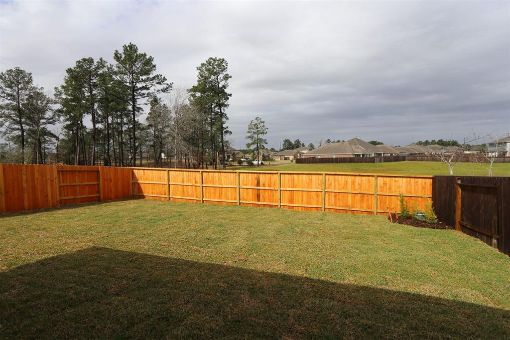 521 Copper Springs Drive, Magnolia, Texas image 19