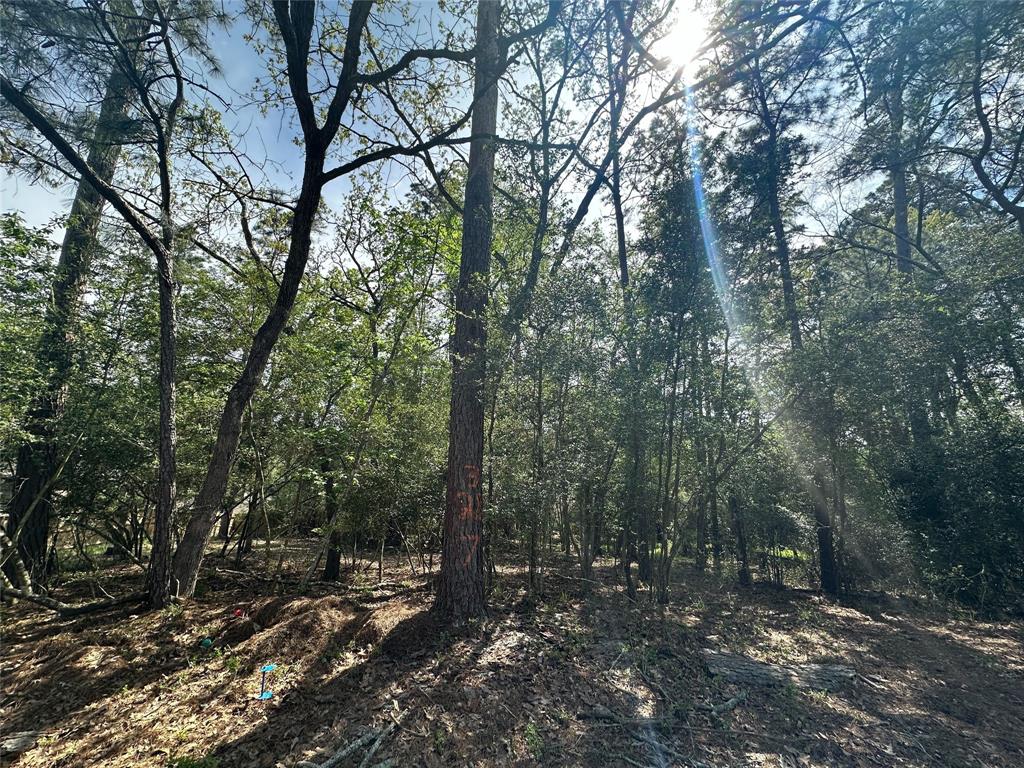 1847 East Lake Drive, Huntsville, Texas image 2