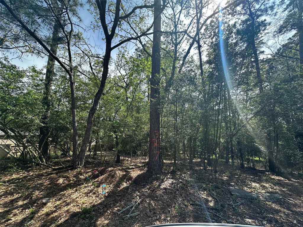 1847 East Lake Drive, Huntsville, Texas image 1