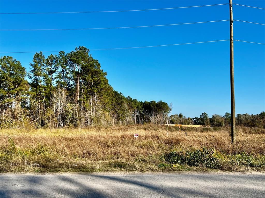 Photo of 24535 Sorters Rd Rd, Porter, TX 77365 (MLS # 66200681)