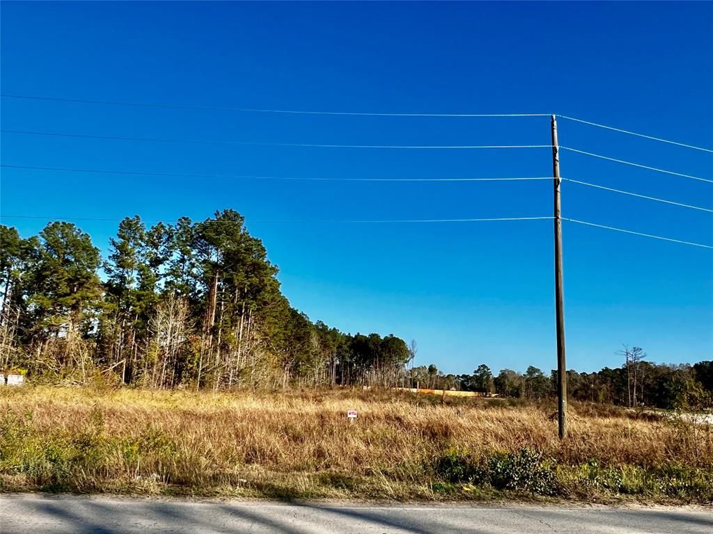 Photo of 24535 Sorters Rd Rd, Porter, TX 77365 (MLS # 66200681)