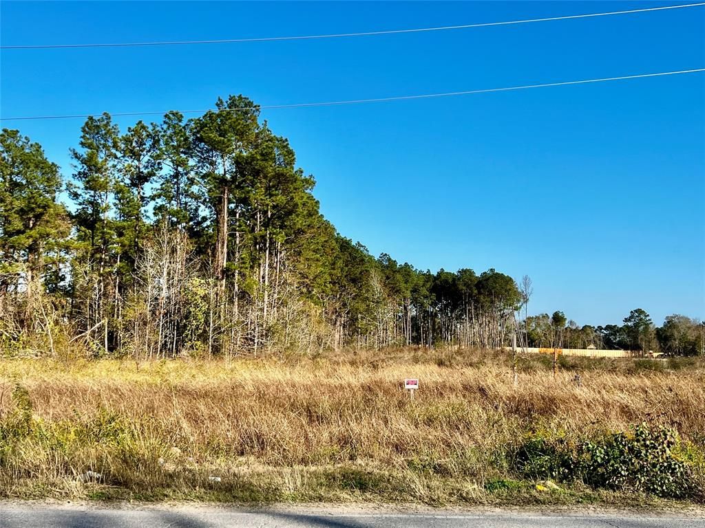 Photo of 24535 Sorters Rd Rd, Porter, TX 77365 (MLS # 66200681)