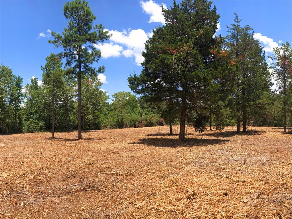 Lot 6 Cr 338, Nacogdoches, Texas image 2