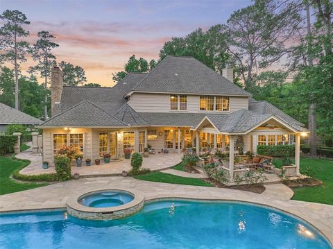 6 Plumcove Court The Woodlands TX 77381