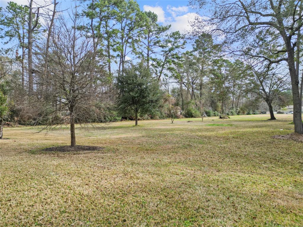 22321 Mossy Oaks Road, Spring, Texas image 31