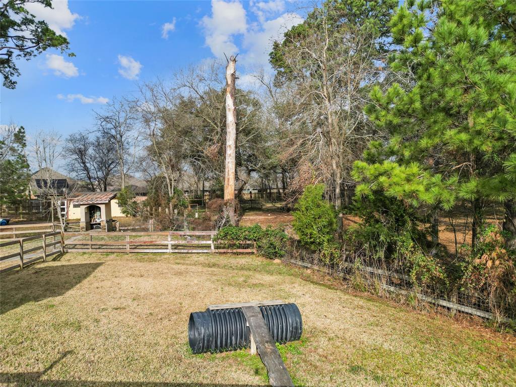 22321 Mossy Oaks Road, Spring, Texas image 28