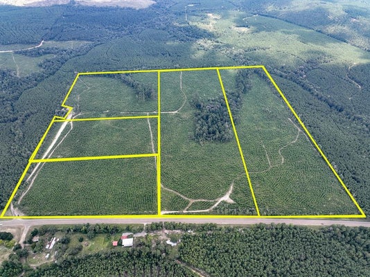 ADDRESS PRIVATE, BROWNDELL, TX 75931 - Image 0bf5e297e41f7e9be62e31cb05cff5b6/851867012