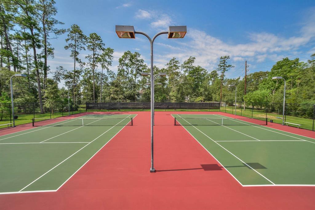 14222 Autumn Mist, Cypress, Texas image 49