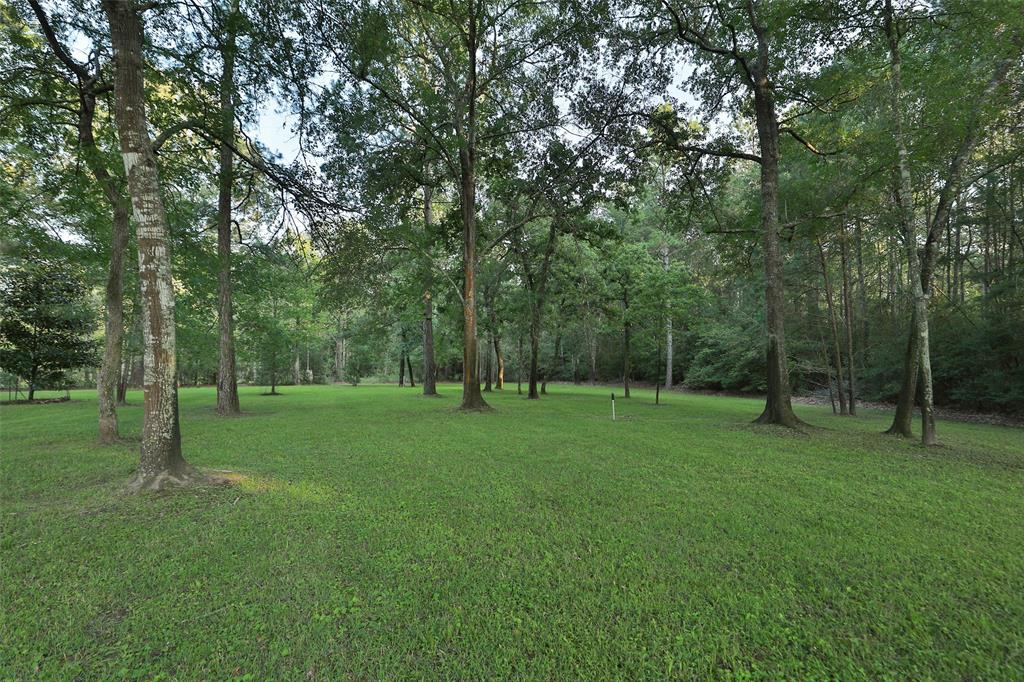 7044 Racehorse Drive, Waller, Texas image 46