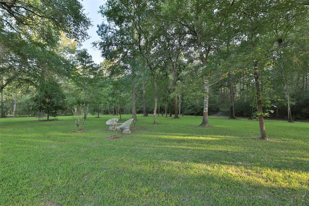 7044 Racehorse Drive, Waller, Texas image 45