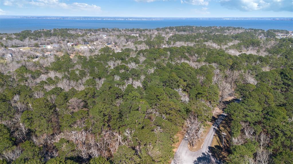701.1 S Cape Royale Drive, Coldspring, Texas image 46