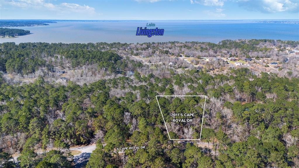 701.1 S Cape Royale Drive, Coldspring, Texas image 44