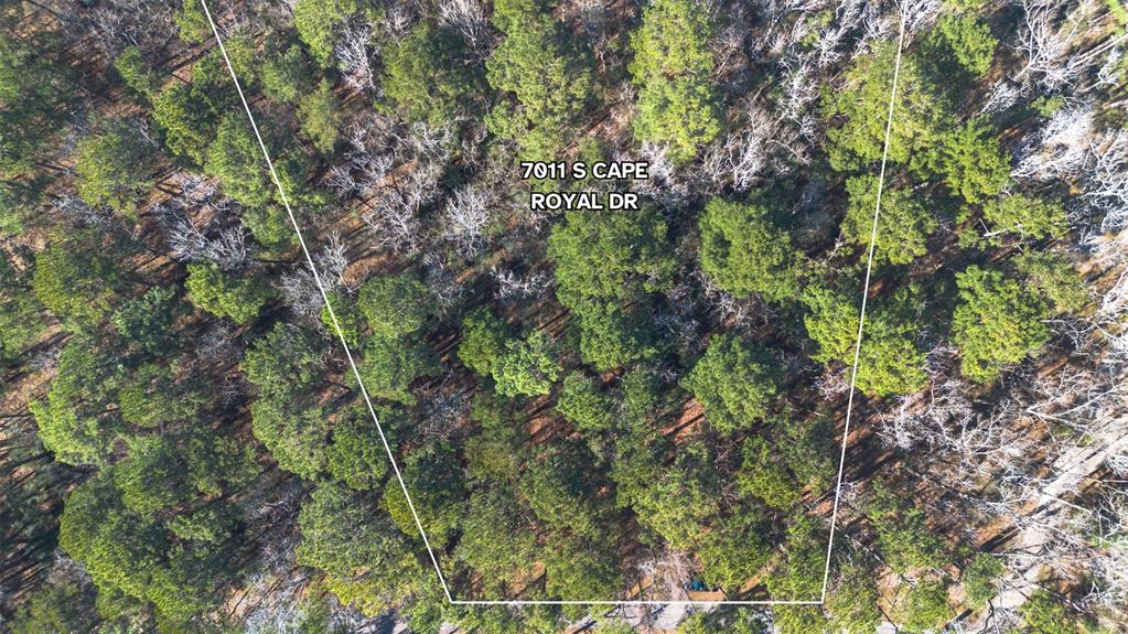 701.1 S Cape Royale Drive, Coldspring, Texas image 43