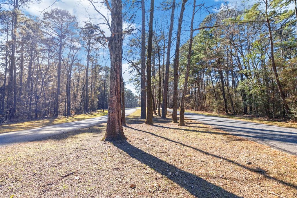 701.1 S Cape Royale Drive, Coldspring, Texas image 38