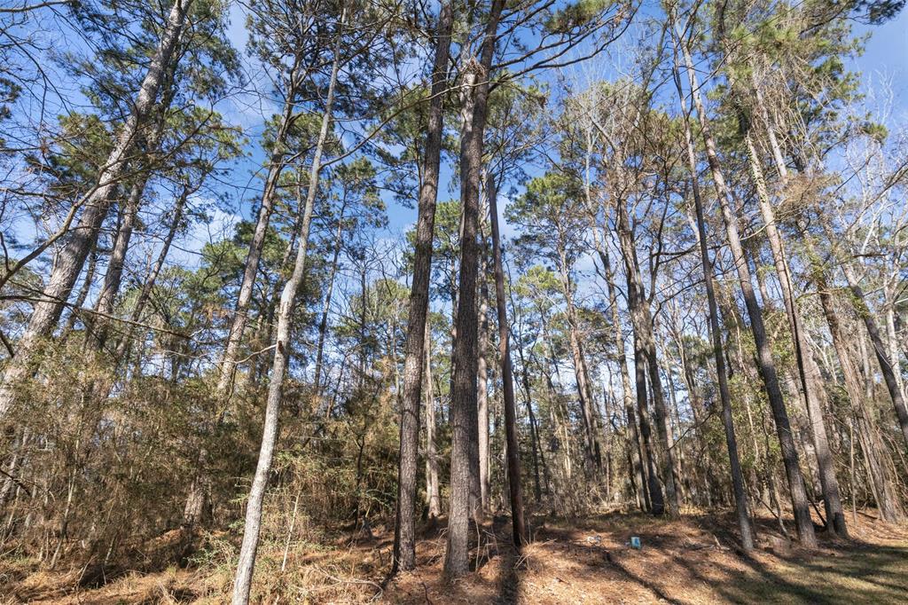 701.1 S Cape Royale Drive, Coldspring, Texas image 40