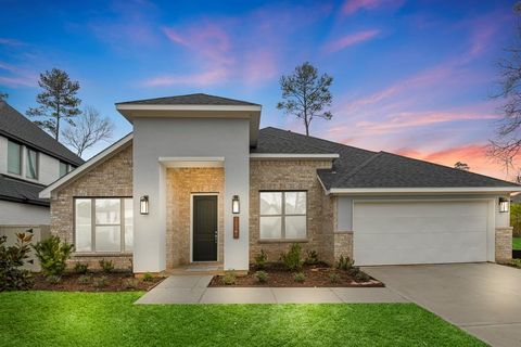 Single Family Residence in Magnolia TX 15369 Legacy Park Way.jpg