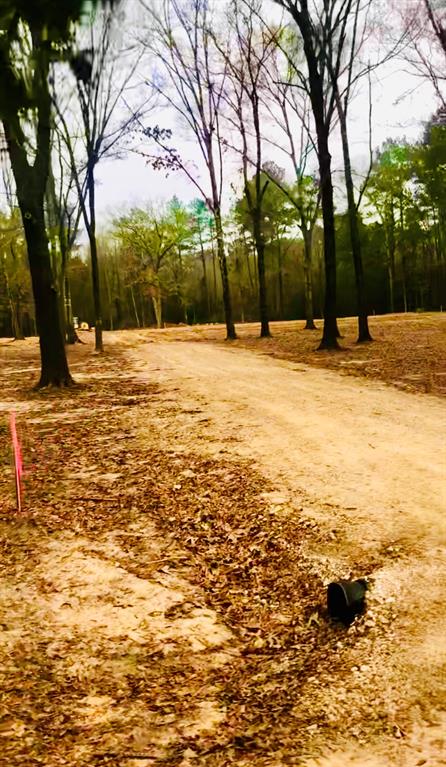 27 Gourd Creek Drive, Huntsville, Texas image 3