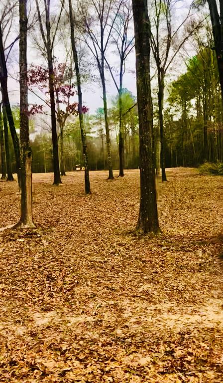 27 Gourd Creek Drive, Huntsville, Texas image 2