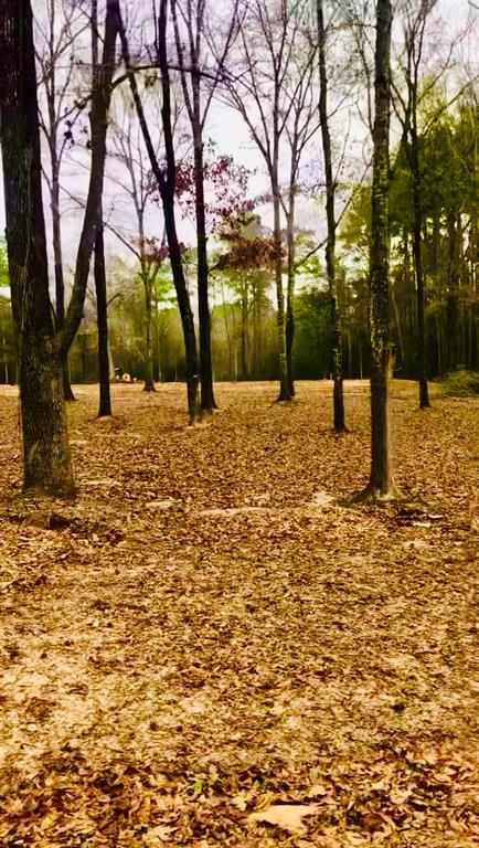 27 Gourd Creek Drive, Huntsville, Texas image 1