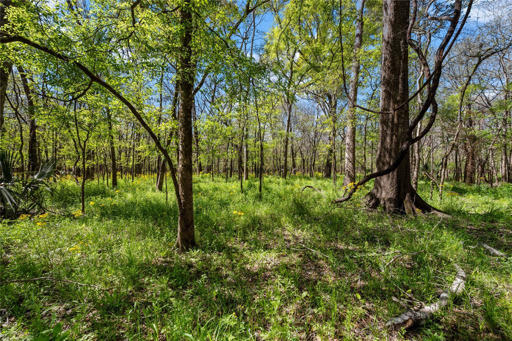 551 Private Road 643a, Dayton, Texas image 47