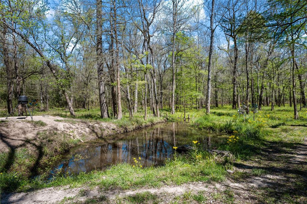 551 Private Road 643a, Dayton, Texas image 40