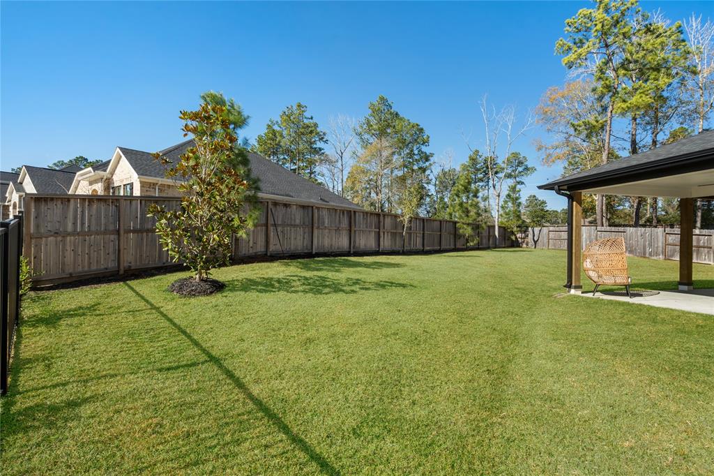 503 Blue Threadfin Court, Conroe, Texas image 38