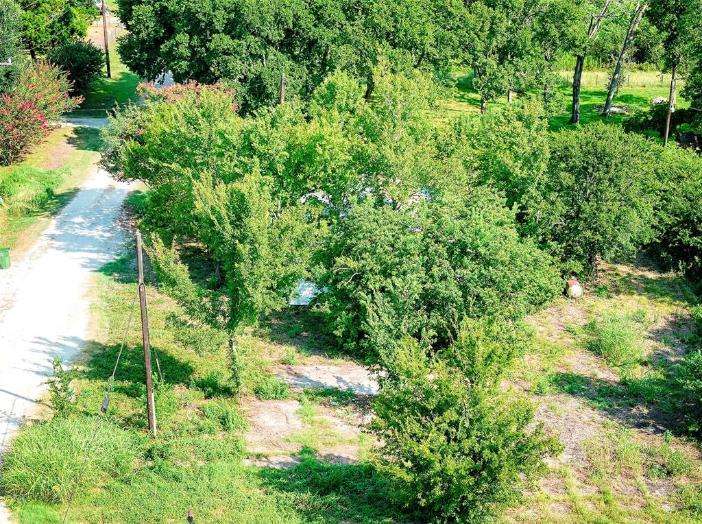 9848 Edward Avenue, Shiro, Texas image 17