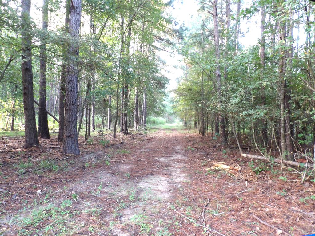 191 Fsr 587, Kennard, Texas image 9