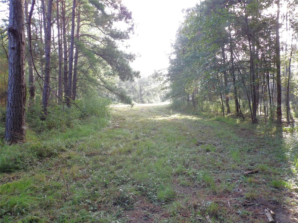 191 Fsr 587, Kennard, Texas image 8