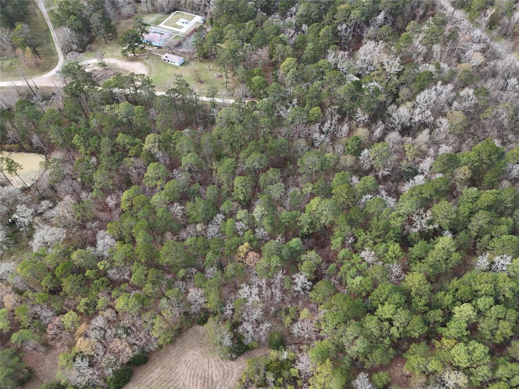 TBD Shadow Wood Circle, Coldspring, Texas image 8