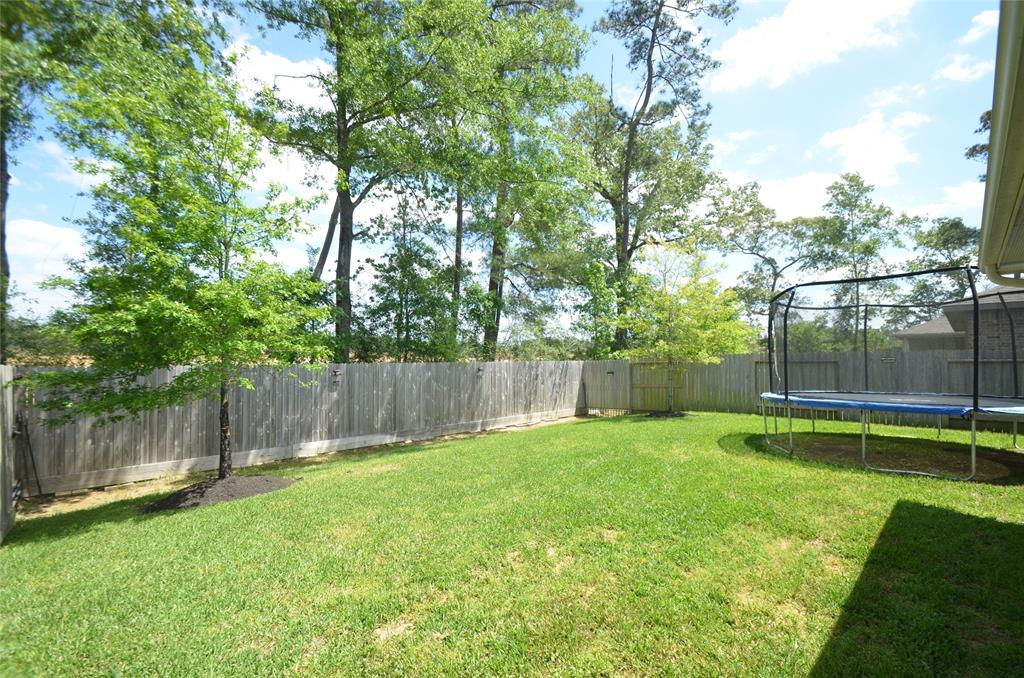 3810 Willow Valley Court, Conroe, Texas image 32