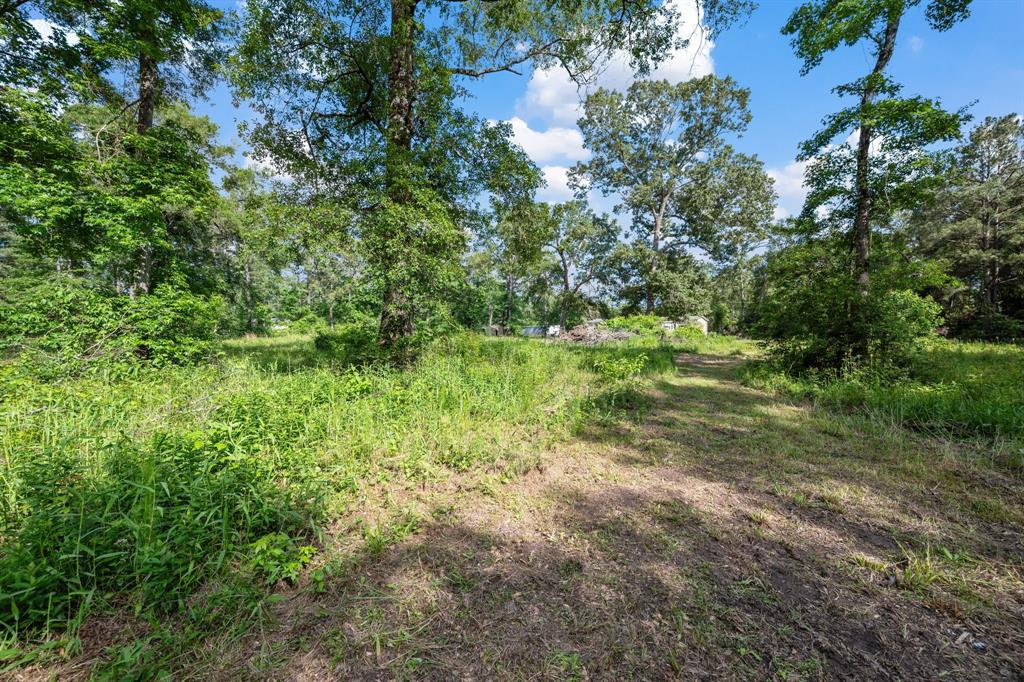 25865 Hickory Knoll Court, Cleveland, Texas image 24