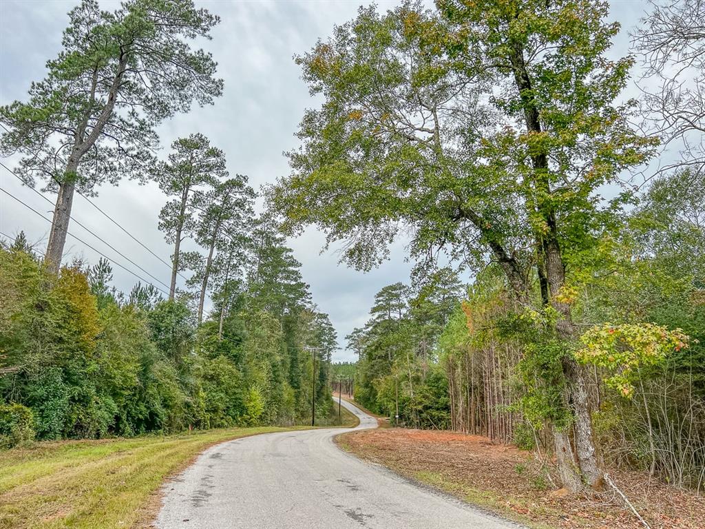 County Road 328, Caldwell, Texas image 7