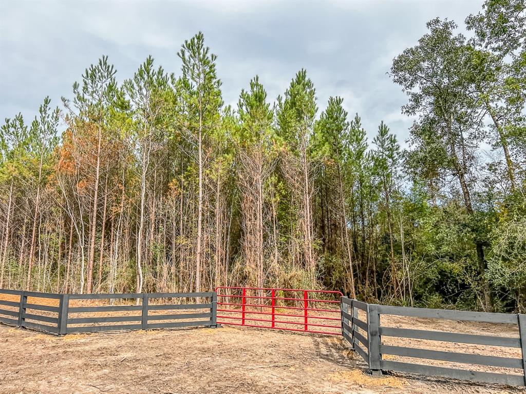 County Road 328, Caldwell, Texas image 13