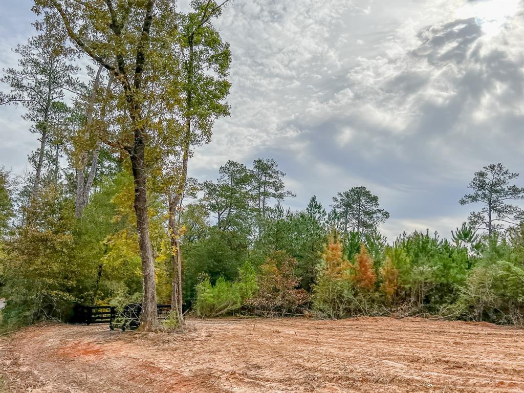 County Road 328, Caldwell, Texas image 6