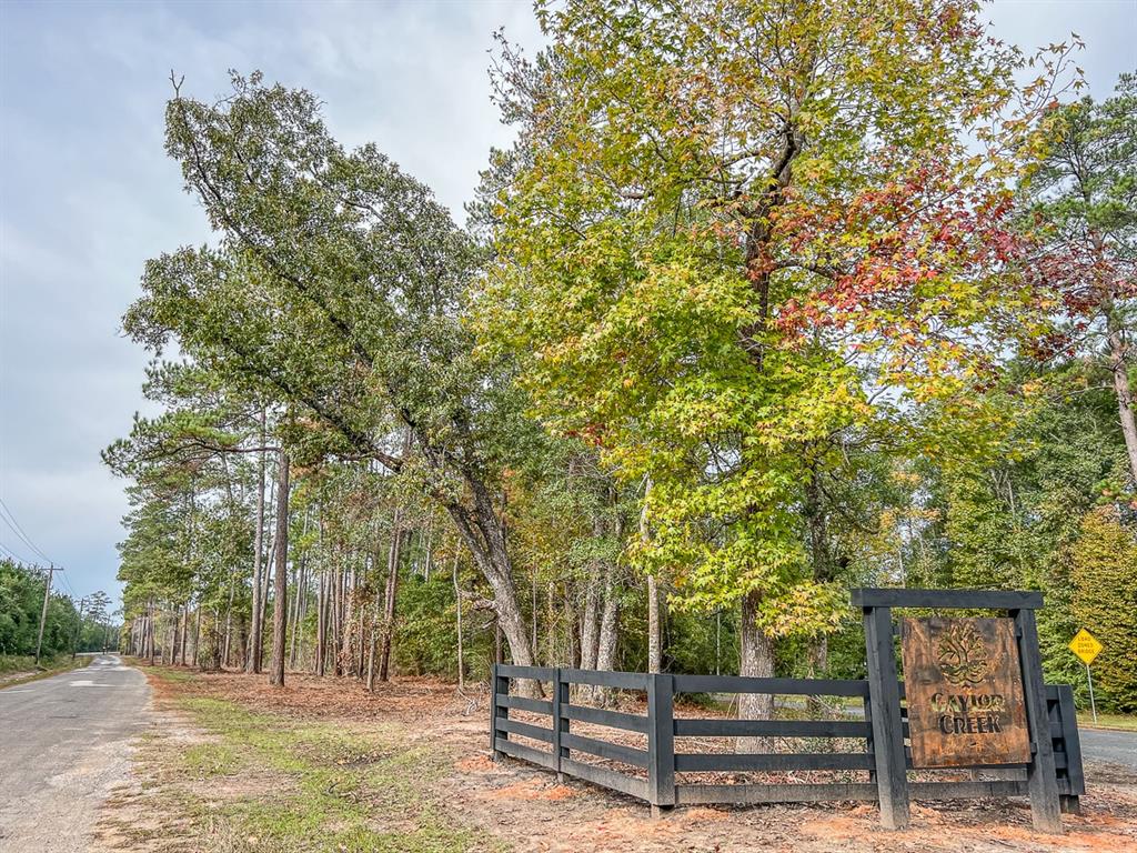 County Road 328, Caldwell, Texas image 11