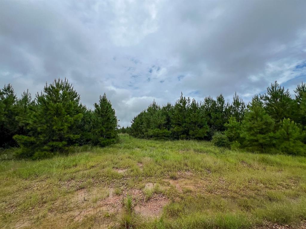 T48 Easement Road Off Fm 355, Groveton, Texas image 10