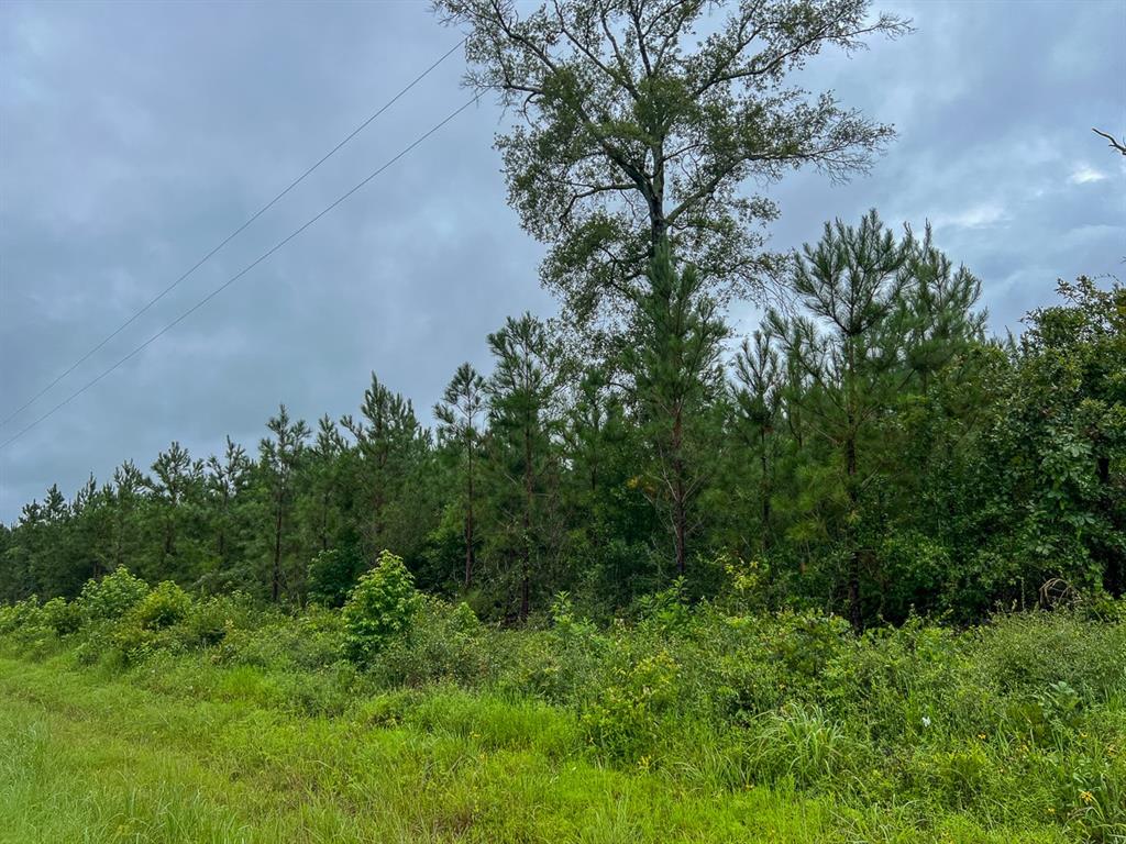 T48 Easement Road Off Fm 355, Groveton, Texas image 15