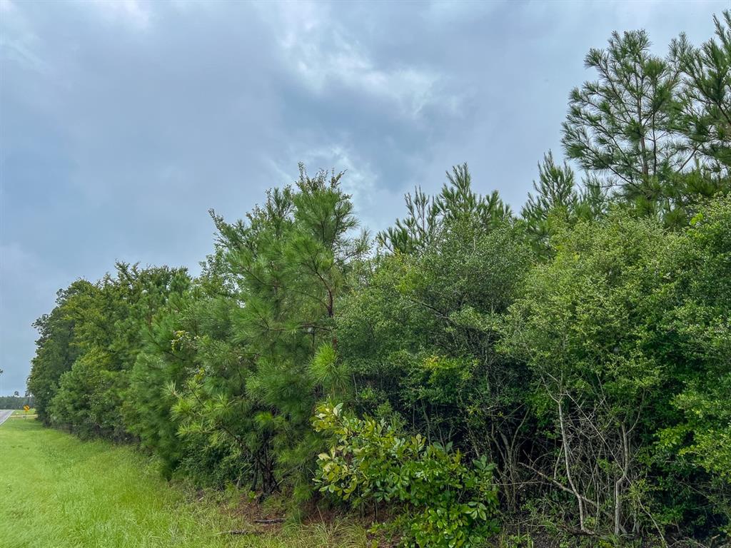 T48 Easement Road Off Fm 355, Groveton, Texas image 14