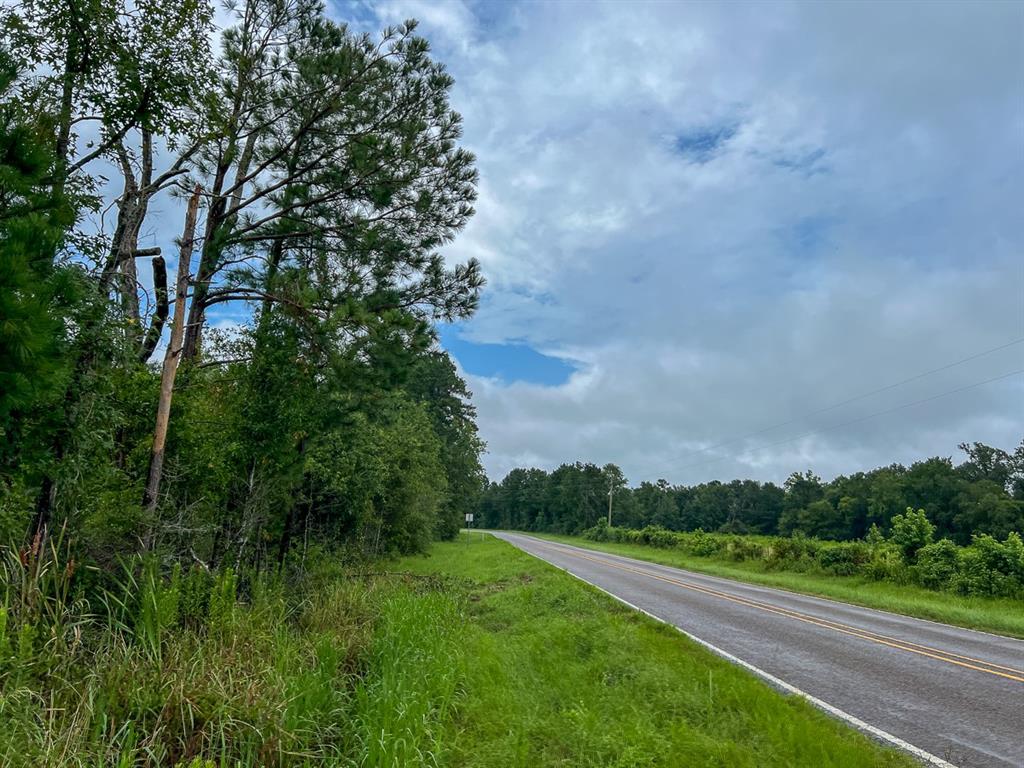 T48 Easement Road Off Fm 355, Groveton, Texas image 4