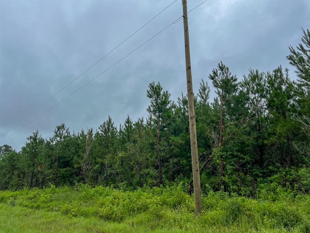 T48 Easement Road Off Fm 355, Groveton, Texas image 17