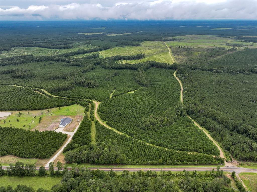 T48 Easement Road Off Fm 355, Groveton, Texas image 2