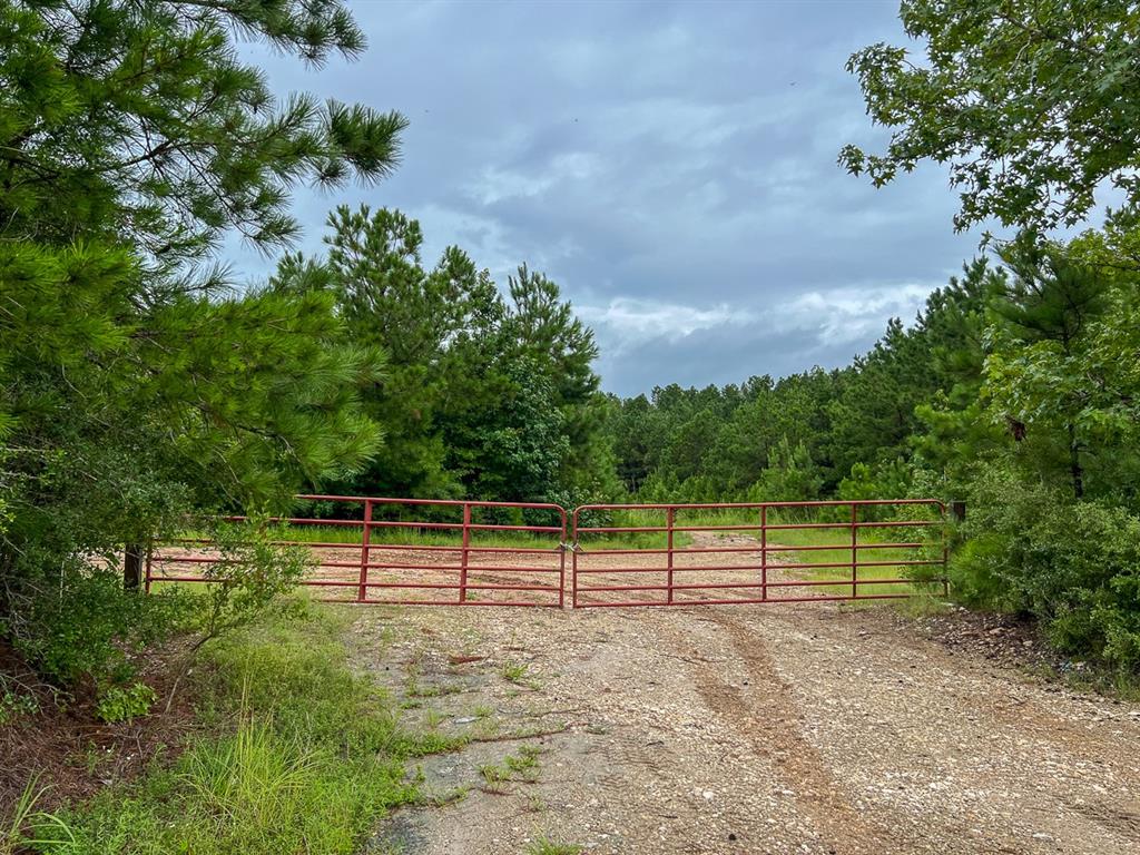 T48 Easement Road Off Fm 355, Groveton, Texas image 3