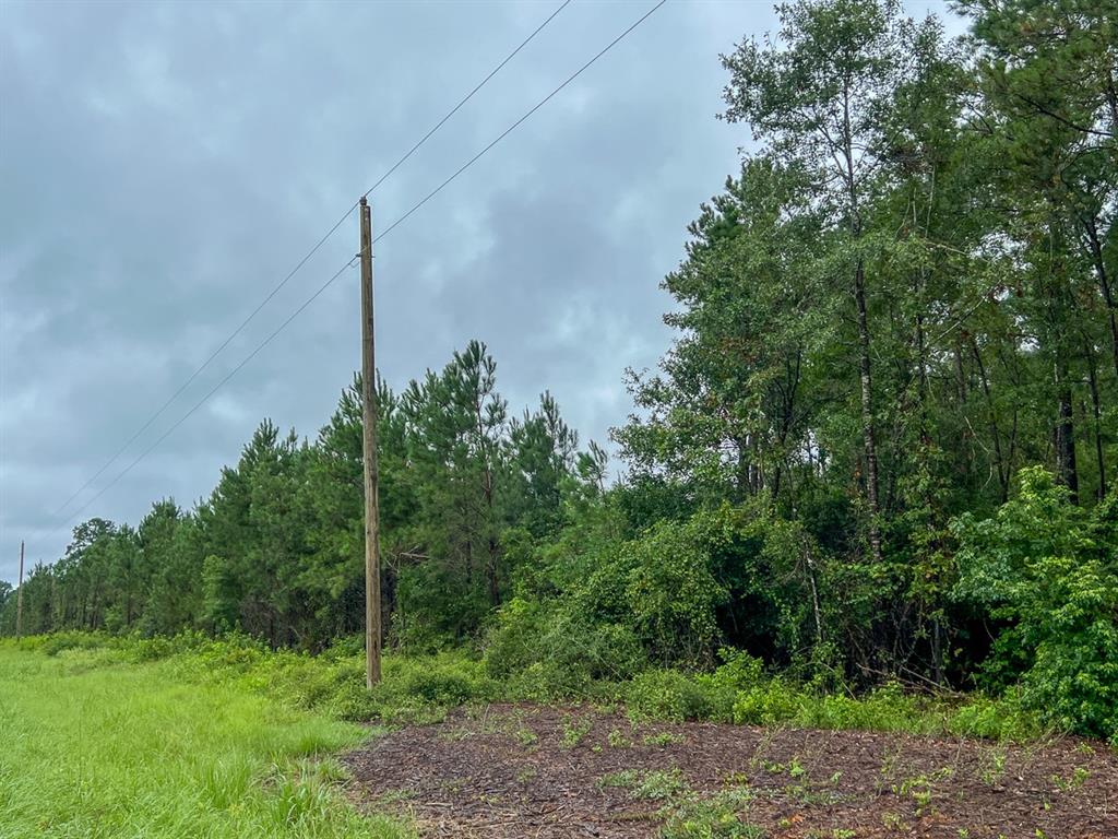 T48 Easement Road Off Fm 355, Groveton, Texas image 16